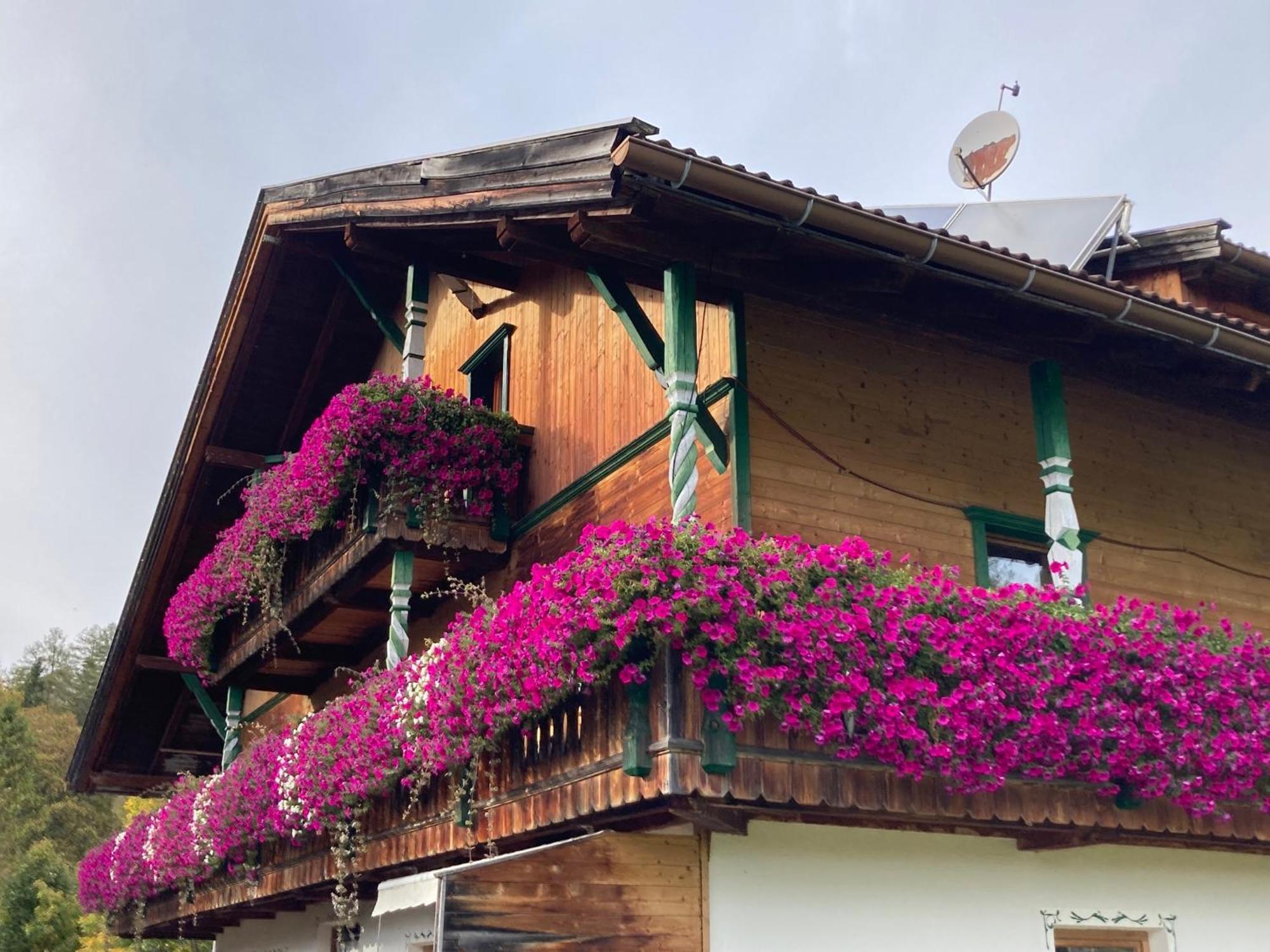 Oefnerhof Διαμέρισμα Leutasch Εξωτερικό φωτογραφία